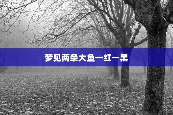 梦见两条大鱼一红一黑