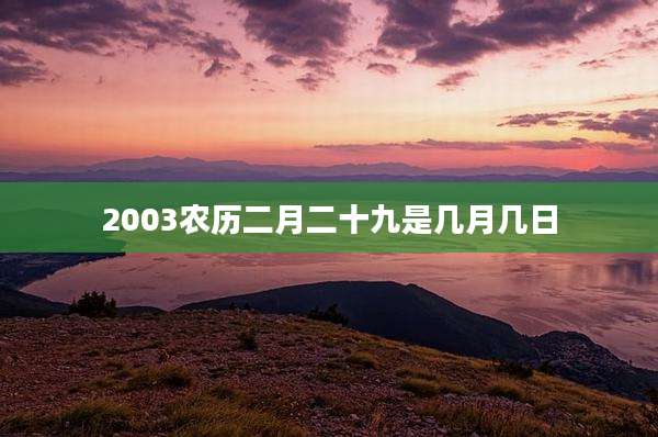 2003农历二月二十九是几月几日