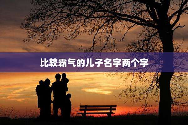比较霸气的儿子名字两个字