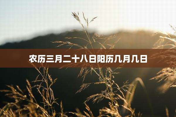 农历三月二十八日阳历几月几日
