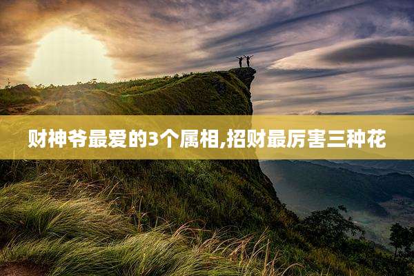 财神爷最爱的3个属相,招财最厉害三种花