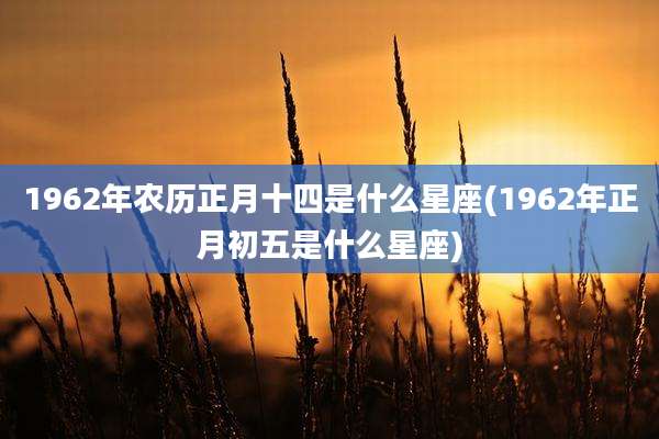 1962年农历正月十四是什么星座(1962年正月初五是什么星座)