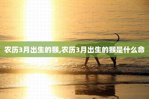 农历3月出生的猴,农历3月出生的猴是什么命