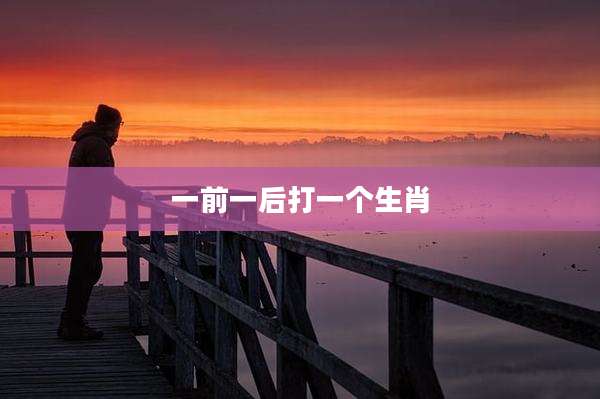 一前一后打一个生肖