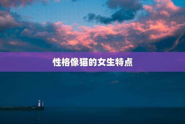 性格像猫的女生特点