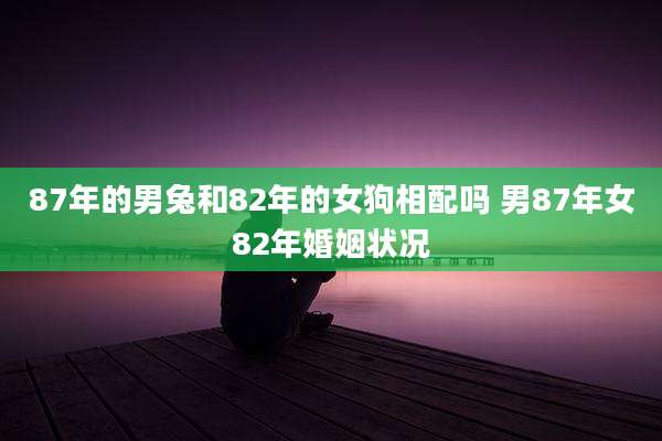 87年的男兔和82年的女狗相配吗 男87年女82年婚姻状况