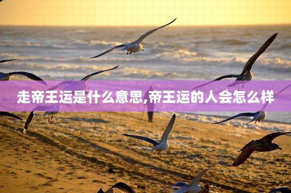 走帝王运是什么意思,帝王运的人会怎么样