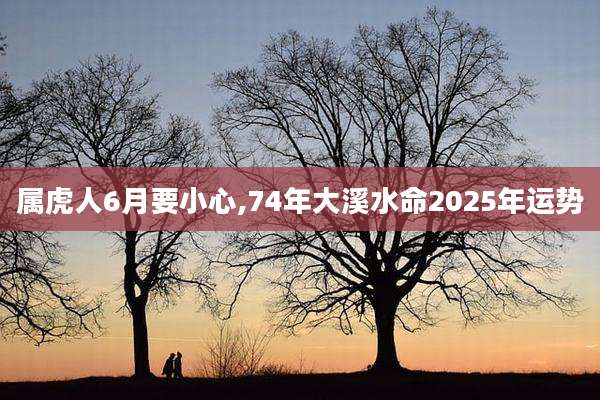 属虎人6月要小心,74年大溪水命2025年运势