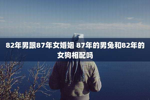 82年男跟87年女婚姻 87年的男兔和82年的女狗相配吗