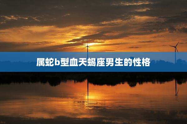 属蛇b型血天蝎座男生的性格