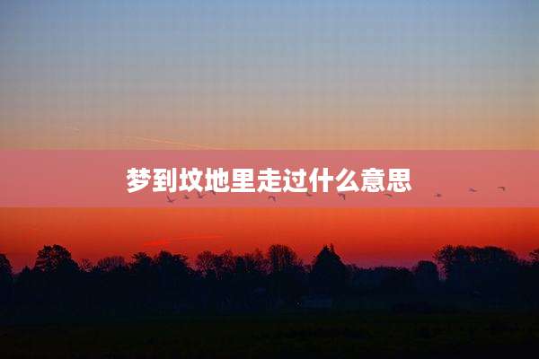 梦到坟地里走过什么意思