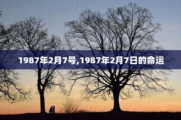 1987年2月7号,1987年2月7日的命运