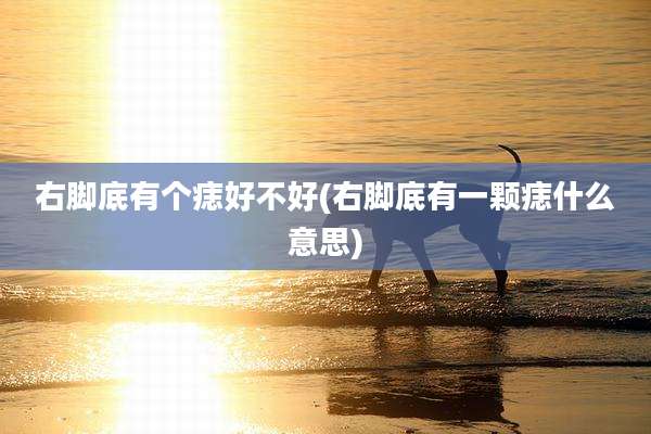 右脚底有个痣好不好(右脚底有一颗痣什么意思)