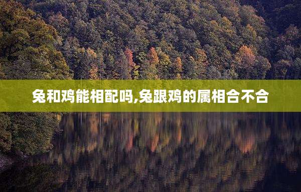 兔和鸡能相配吗,兔跟鸡的属相合不合