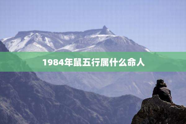 1984年鼠五行属什么命人