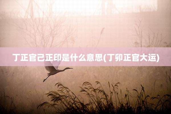 丁正官己正印是什么意思(丁卯正官大运)