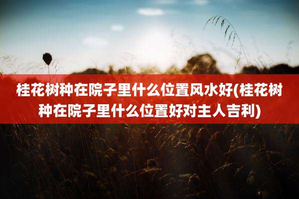 桂花树种在院子里什么位置风水好(桂花树种在院子里什么位置好对主人吉利)