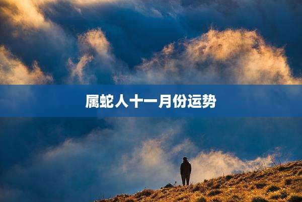 属蛇人十一月份运势