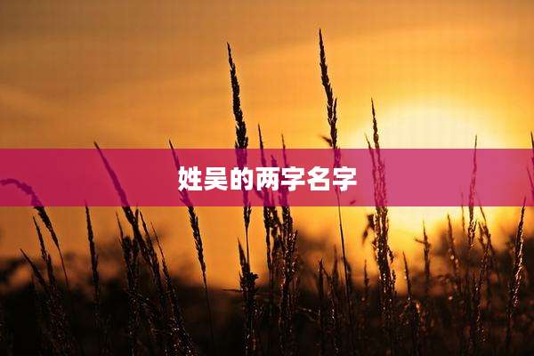姓吴的两字名字