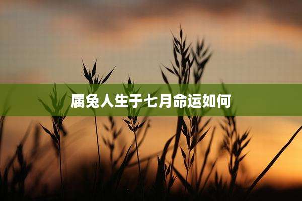 属兔人生于七月命运如何
