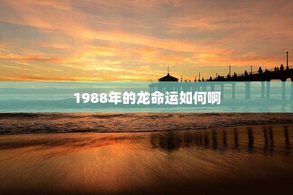 1988年的龙命运如何啊