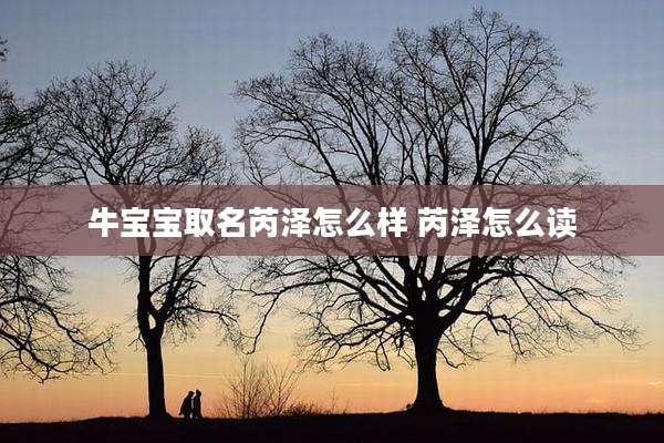 牛宝宝取名芮泽怎么样 芮泽怎么读