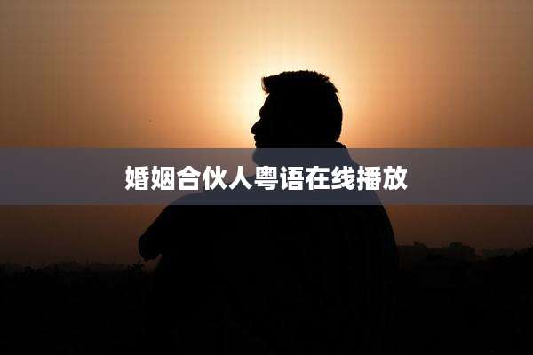 婚姻合伙人粤语在线播放