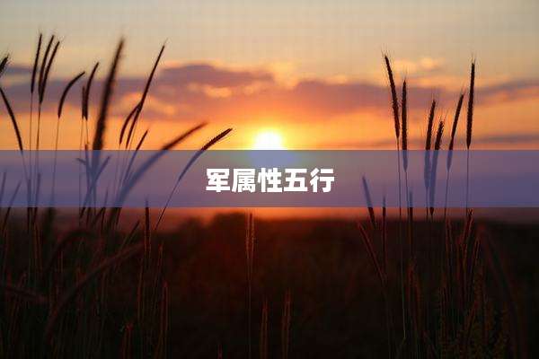 军属性五行