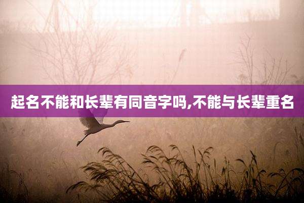起名不能和长辈有同音字吗,不能与长辈重名