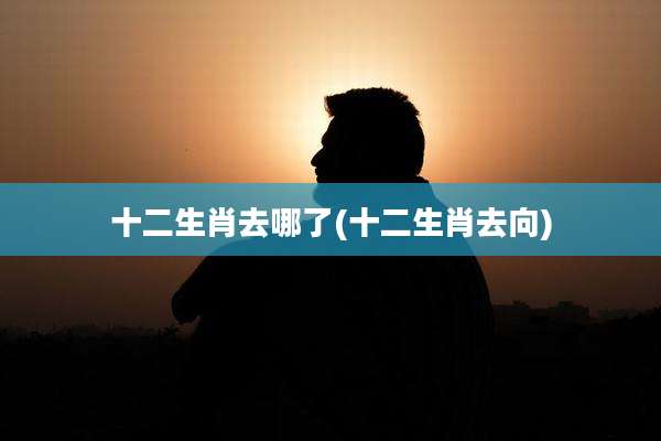 十二生肖去哪了(十二生肖去向)