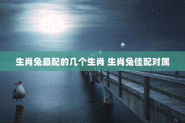 生肖兔最配的几个生肖 生肖兔佳配对属
