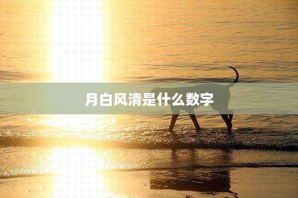 月白风清是什么数字
