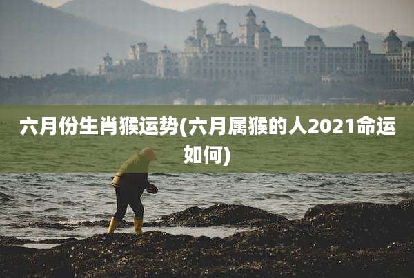 六月份生肖猴运势(六月属猴的人2021命运如何)