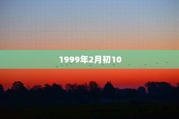 1999年2月初10
