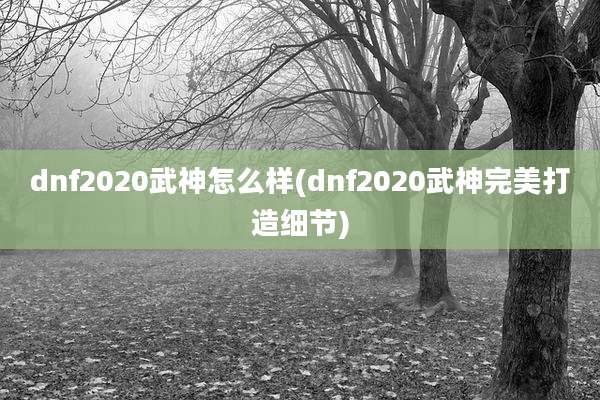 dnf2020武神怎么样(dnf2020武神完美打造细节)
