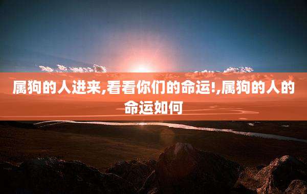 属狗的人进来,看看你们的命运!,属狗的人的命运如何