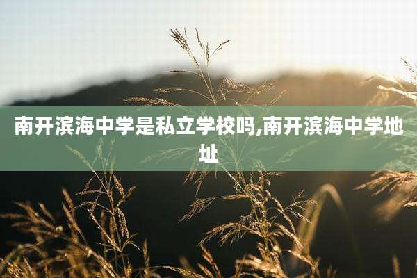 南开滨海中学是私立学校吗,南开滨海中学地址
