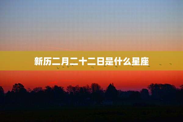 新历二月二十二日是什么星座