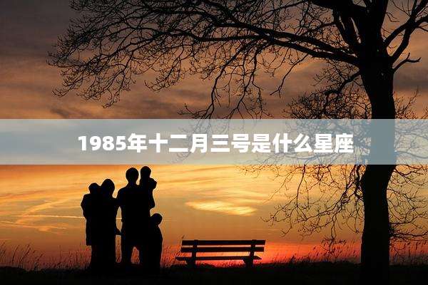 1985年十二月三号是什么星座