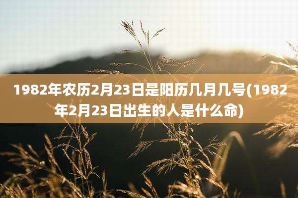 1982年农历2月23日是阳历几月几号(1982年2月23日出生的人是什么命)
