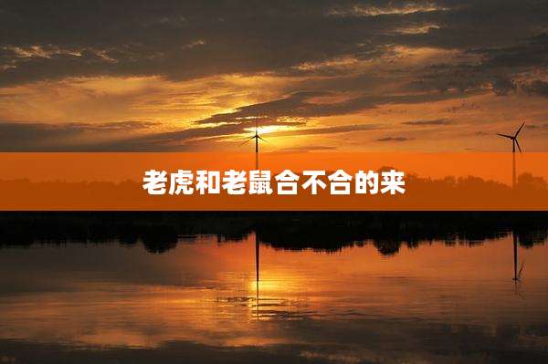 老虎和老鼠合不合的来