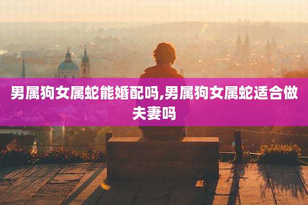 男属狗女属蛇能婚配吗,男属狗女属蛇适合做夫妻吗