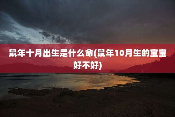 鼠年十月出生是什么命(鼠年10月生的宝宝好不好)