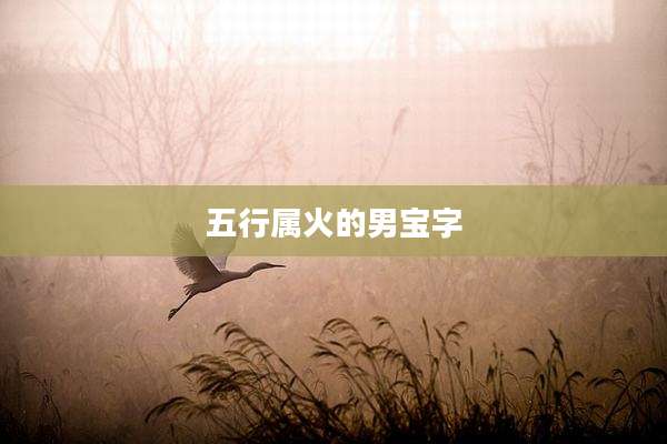 五行属火的男宝字