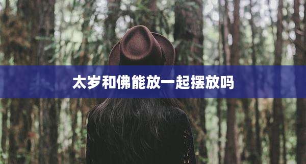 太岁和佛能放一起摆放吗