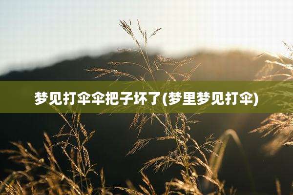 梦见打伞伞把子坏了(梦里梦见打伞)