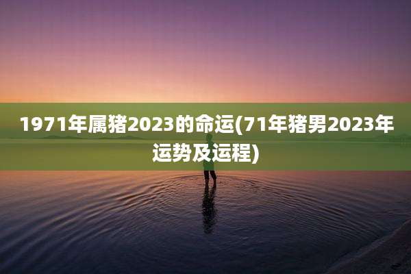 1971年属猪2023的命运(71年猪男2023年运势及运程)