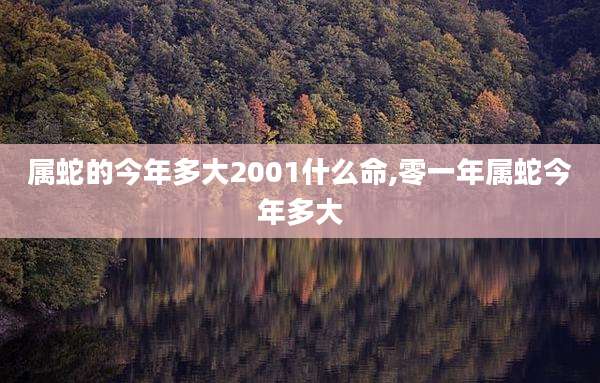 属蛇的今年多大2001什么命,零一年属蛇今年多大