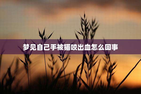 梦见自己手被猫咬出血怎么回事
