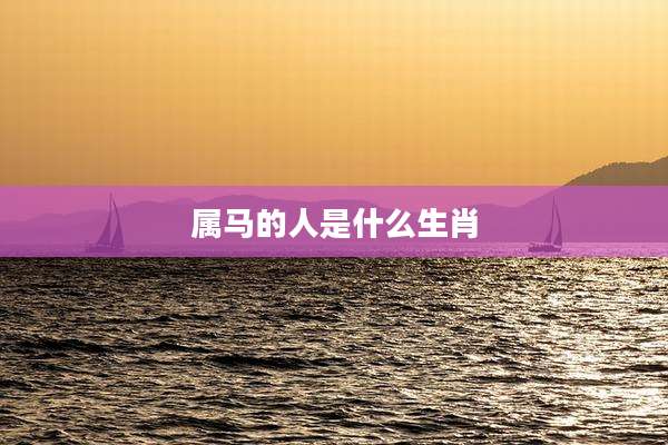 属马的人是什么生肖